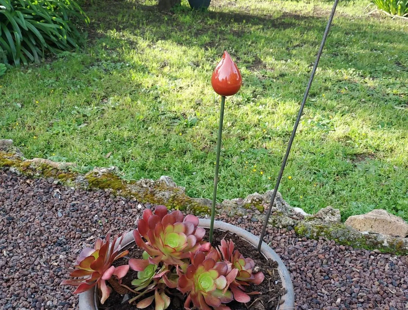 La Vie En Couleurs Chambre D'Hote, Gite Puget-sur Argens Frühstückspension